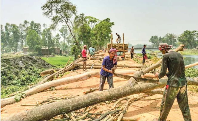 দাবদাহের মধ্যে সড়ক উ...