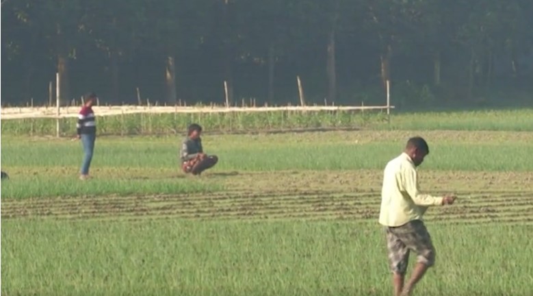 নাটোর টিএসপি সার উধা...