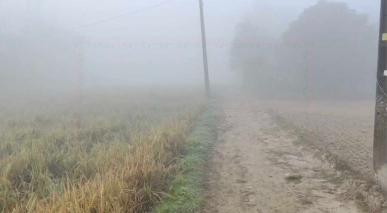 টানা তৃতীয় দিন দেশের...