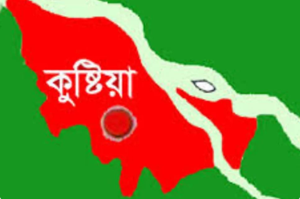 কুষ্টিয়ায় ৮ টুকরো মর...