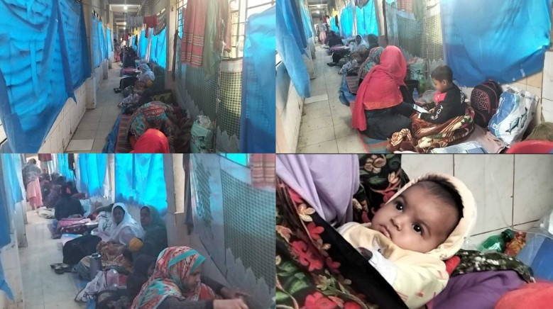 টাঙ্গাইলে শীতজনিত রো...