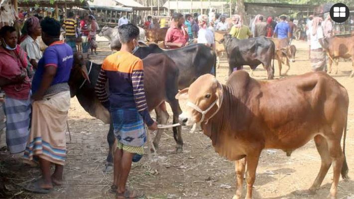 মহাসড়কের ১১৮ স্থানে...