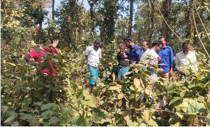 গজারি বনের গভীরে লুঙ্গি-পাঞ্জাবিতে ঢাকা খুলি ও হাড়গোড়