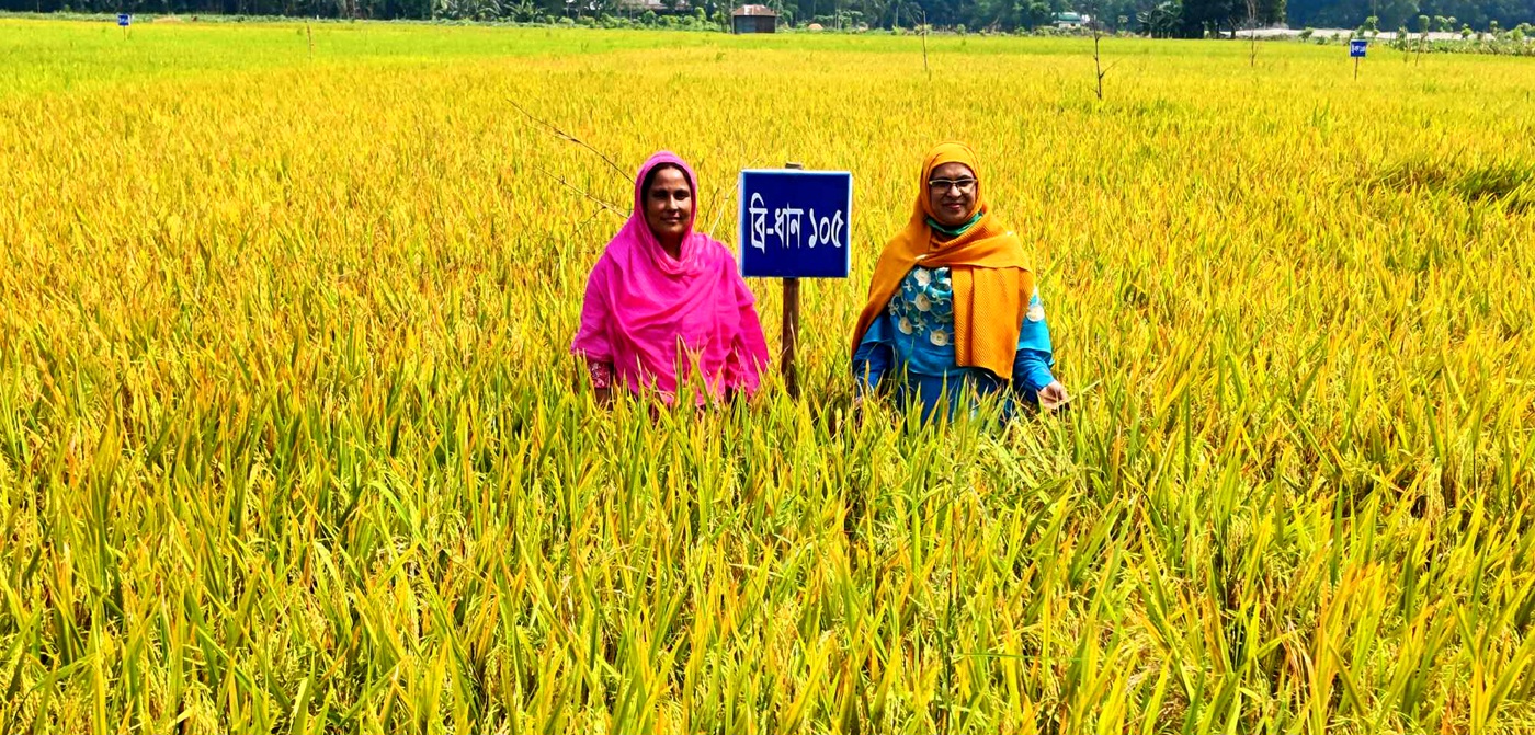 টাঙ্গাইলে 'ডায়াবেটিক...